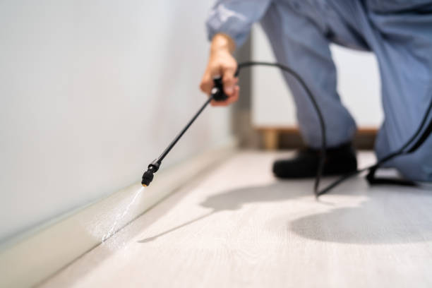 Licensed Cockroach Control service in Cambria, IL - Nex Pest Control