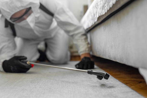 Professional Cockroach Control technician working in Cambria, IL