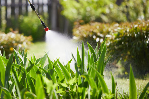 24/7 Emergency Cockroach Control experts in Cambria, IL