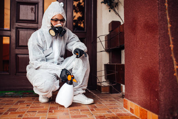 Reliable Cockroach Control contractor in Cambria, IL by Nex Pest Control