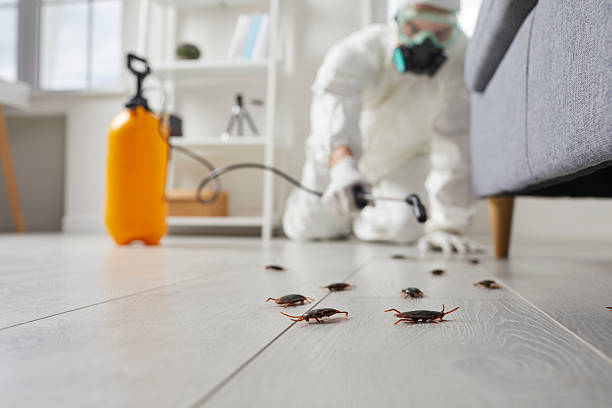 Affordable Cockroach Control solutions in Cambria, IL