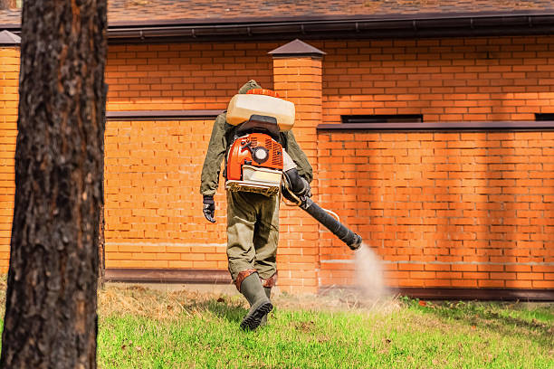Top rated local Cockroach Control specialists in Cambria, IL